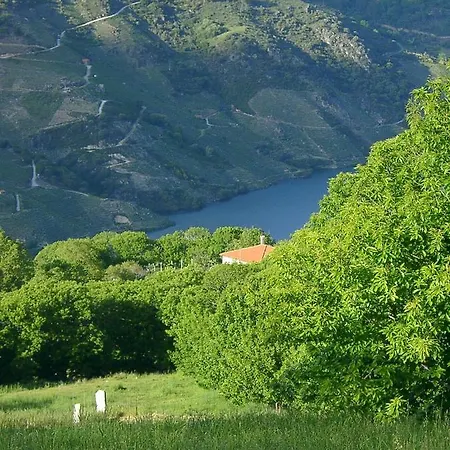 San Andres Mit Parada de Sil